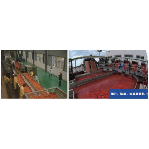 Fruit Lifting Washing Sorting Combiner